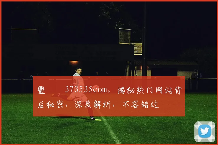璺戠嫍373535com，揭秘热门网站背后秘密，深度解析，不容错过
