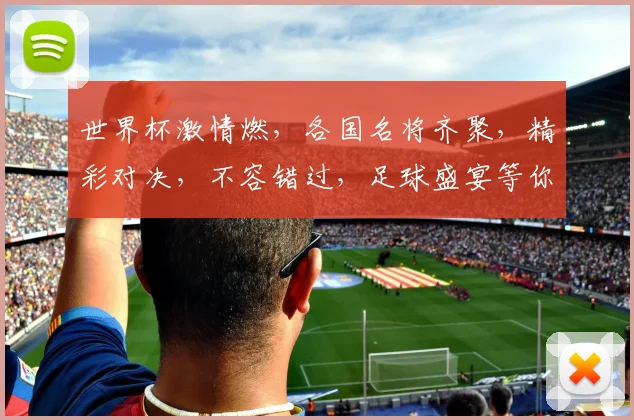 世界杯激情燃，各国名将齐聚，精彩对决，不容错过，足球盛宴等你来