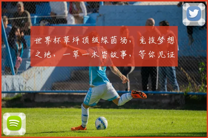 世界杯草坪顶级绿茵场，竞技梦想之地，一草一木皆故事，等你见证传奇