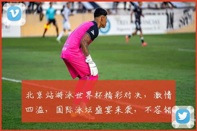 北京站游泳世界杯精彩对决，激情四溢，国际泳坛盛宴来袭，不容错过